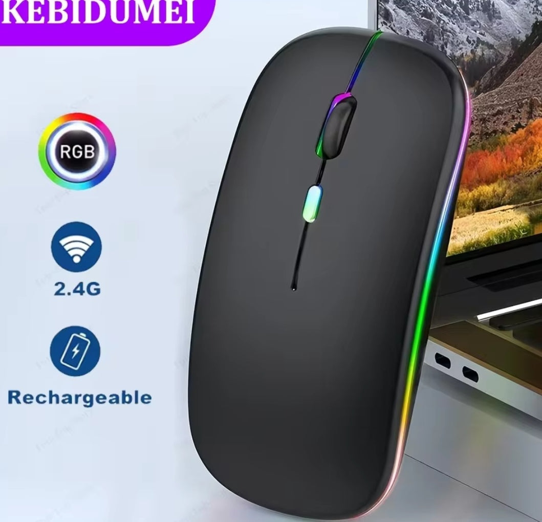 Souris Sans Fil 2-en-1 (Bluetooth & 2.4G) – Rechargeable