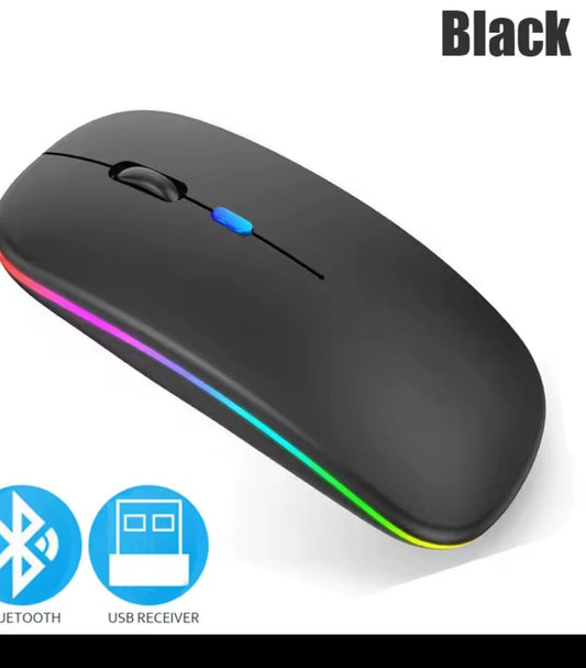 Souris Sans Fil 2-en-1 (Bluetooth & 2.4G) – Rechargeable